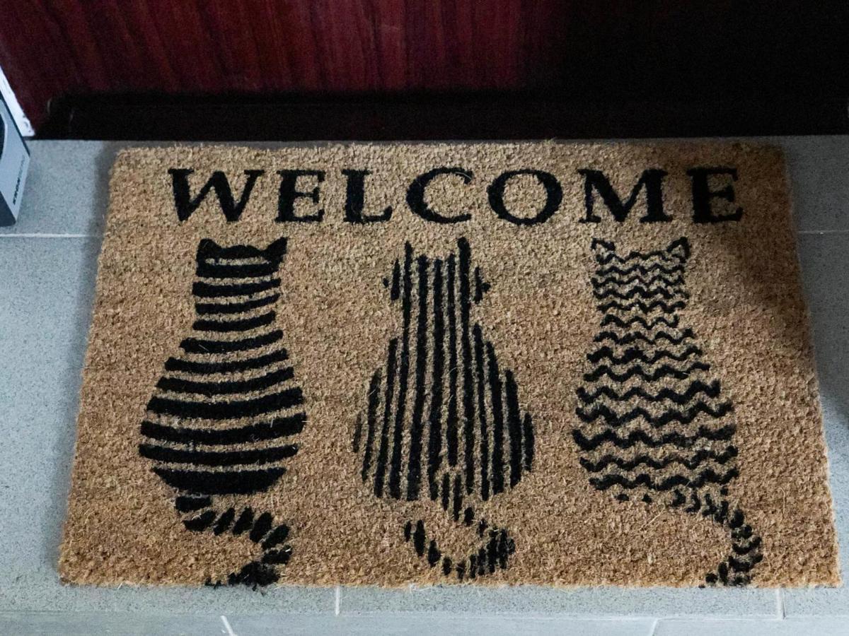Ultra Central Apartment, Free Parking Oradea - Stray Cats Luaran gambar